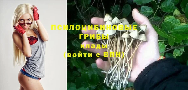 spice Лабытнанги