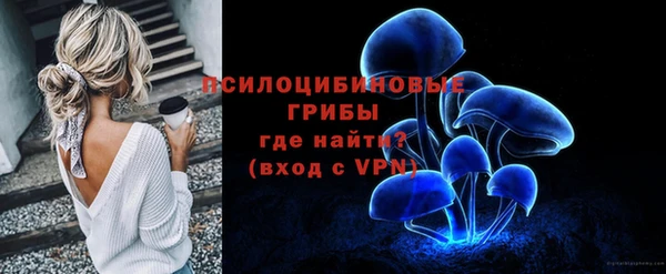 прущий лед Ладушкин