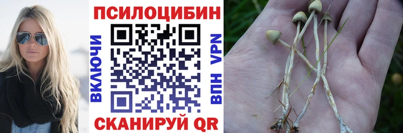 где найти   Майский  Псилоцибиновые грибы мухоморы 