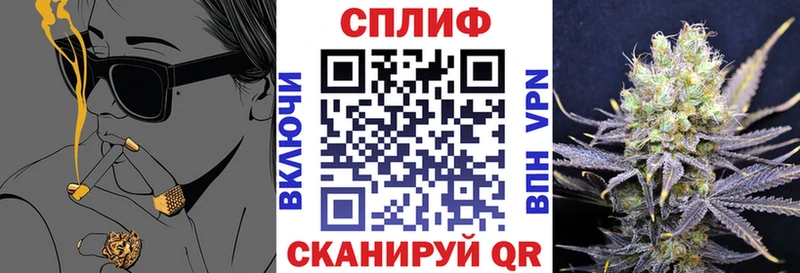 Конопля MAZAR  как найти   Майский 